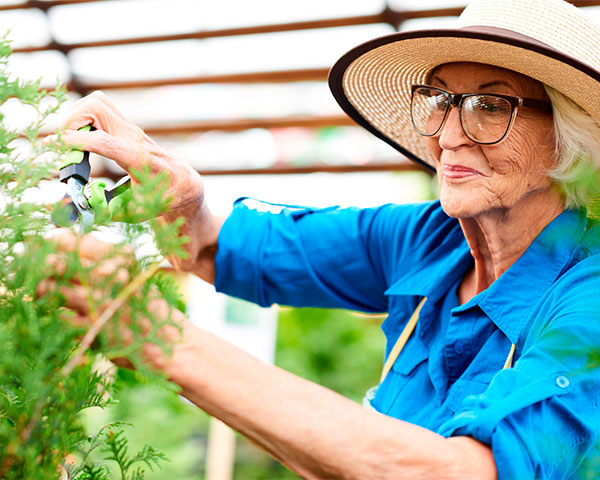 Gardening Gardening at Trico Living Well