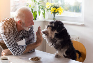 pet ownership for older adults