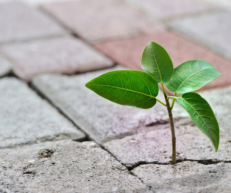 Why Resilience Matters