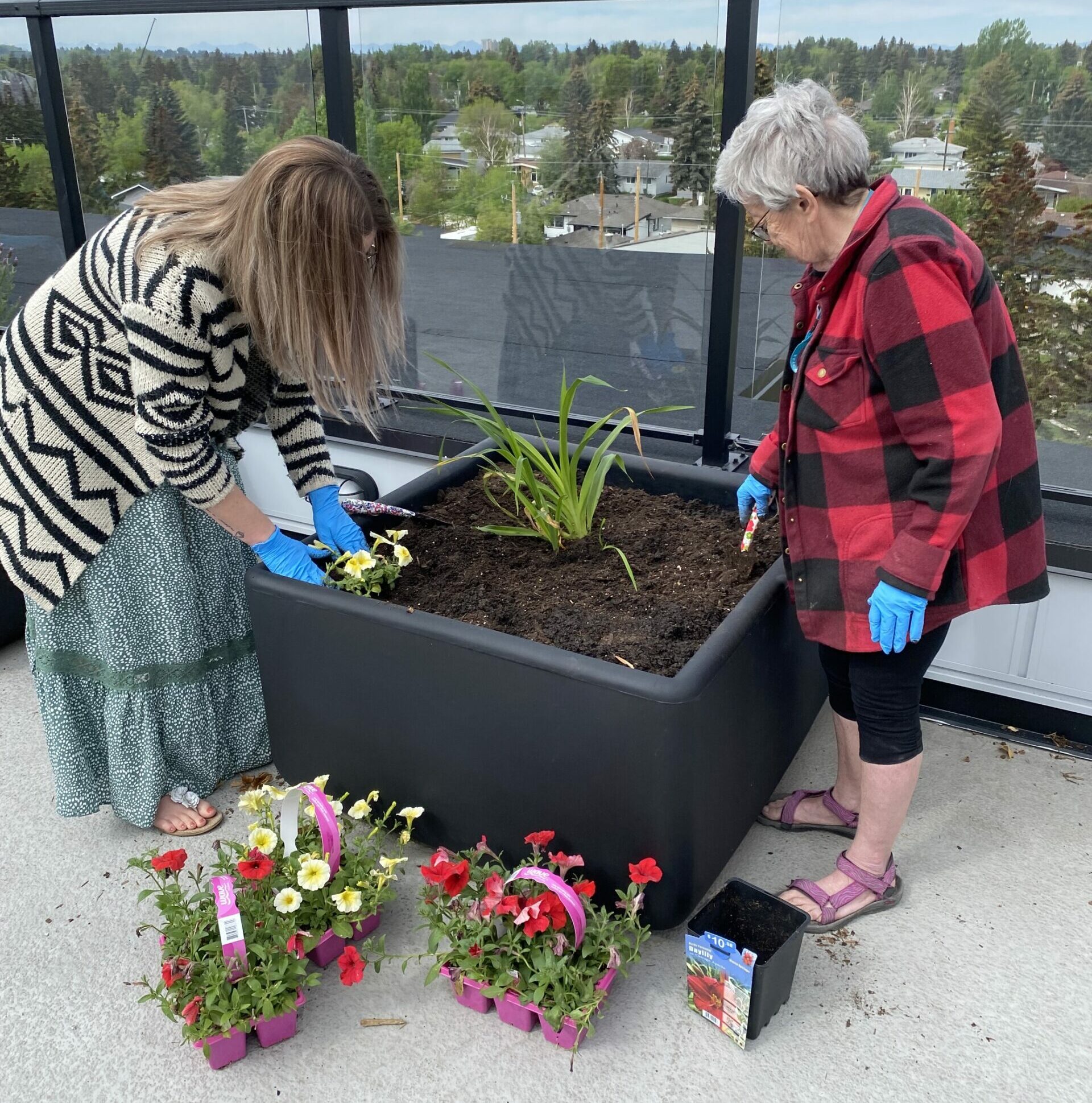 Gardening Tips and Tricks For Older Adults